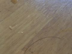 -真真鲜馄饨店(启蒙路店)