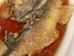 -丰收日(五角场店)