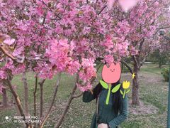 -迎泽公园