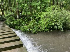 -桤木河湿地公园