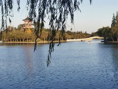 -莱西月湖公园