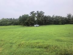 -东海森林温泉度假酒店