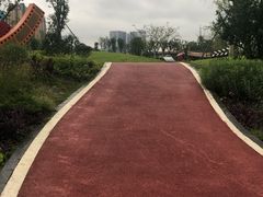 -府河摄影公园