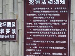 -宁波浙东大竹海景区