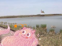 -西青郊野公园
