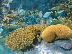 -上海海洋水族馆