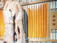 -广东中医药博物馆