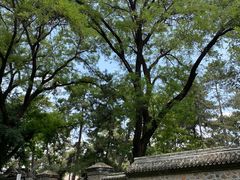 -承德避暑山庄景区