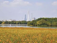 -海珠湖公园