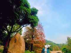 -云溪植物园