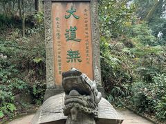 -青城山