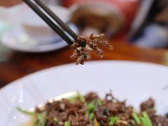 猫爪菇炒牛肉-下梅人家土菜馆(历史文化餐厅度假区店)