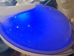 -碧莲盛·不剃发植发