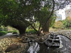 -成都市活水公园