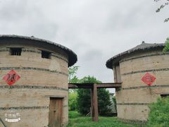 -杭州湾海上花田景区