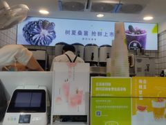 -树夏(建设路店)