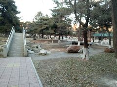 -东北大学(南湖校区)