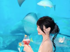 -亚特兰蒂斯•OSSIANO奥西亚诺海底餐厅
