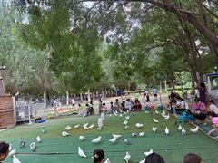 景点-长白岛森林公园