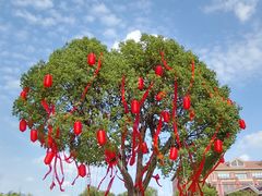 -歌斐颂巧克力小镇