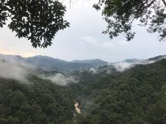 -九龙江国家森林公园