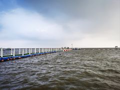 -碧海金沙