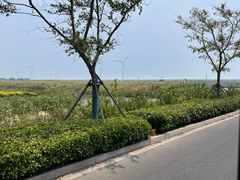 -启东黄金海滩景区