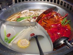 -辣伍鲜毛肚老火锅(元一店)