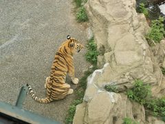 -大连森林动物园