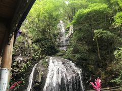 -藏龙百瀑风景区