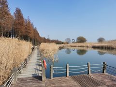 -苏州太湖湖滨国家湿地公园