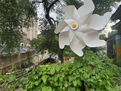 -亮欢寨(凯里总店)