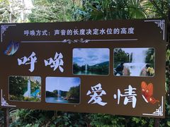-蝴蝶泉公园
