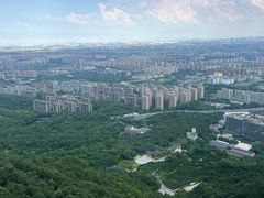 -杭州半山国家森林公园