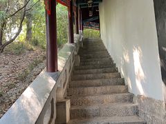 -戏马台景区