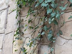 -马王堆汉墓遗址