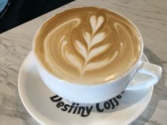 -命运咖啡馆Destiny Coffee