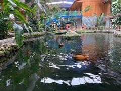 -南宫五洲植物乐园