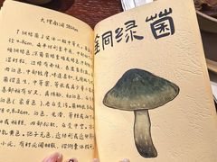 -滇野云南野生菌餐厅(陕西南路店)