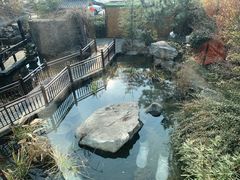-聚缘堂·海鲜私房菜(松岭路店)