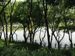 -西樵山风景名胜区-天湖公园