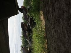 iphone_upload_pic-中国航空博物馆