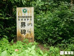 -野象谷景区