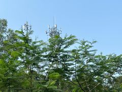 -火炉山森林公园