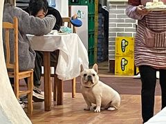 -陈胖子鱼庄(黄辣丁新津店)