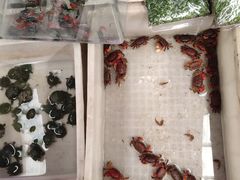 -顺鑫石门市场