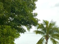 -巴拉湾海滩