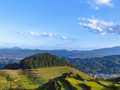 -紫鹊界梯田景区