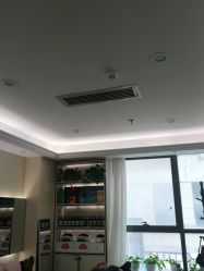 -碧莲盛·不剃发植发