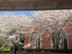 -平湖九龙山庄园圣马可酒店